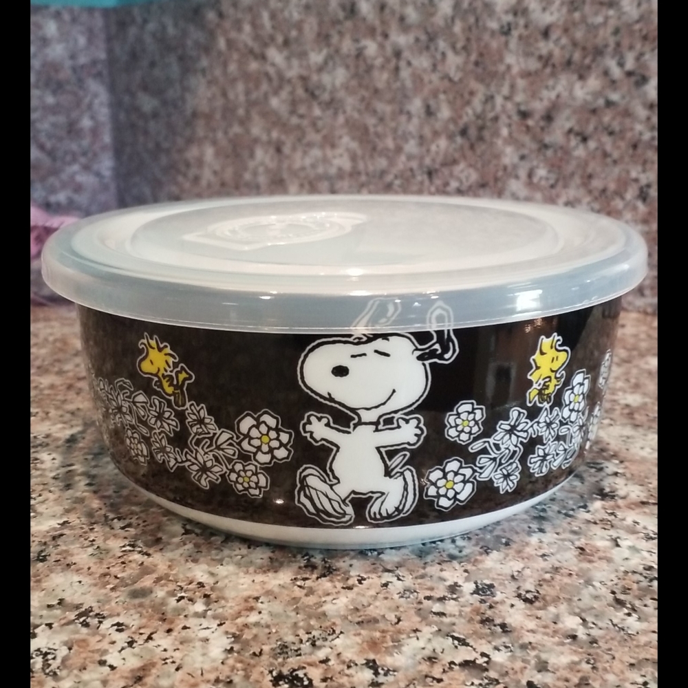 NEW Snoopy Floral food storage